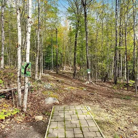Maine Woods Treehouse-The Birdie